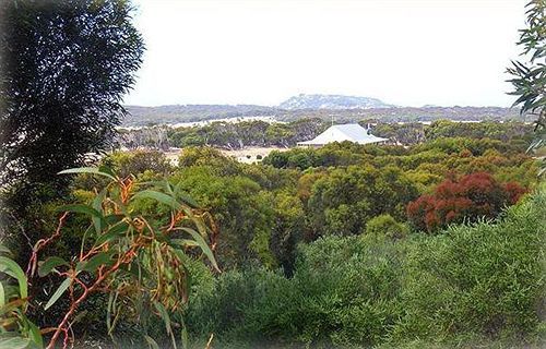 Flour Cask Bay Retreat Apartment Haines Bagian luar foto